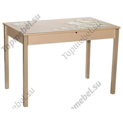 Стол со стеклянным вкладышем и фотопечатью Бристоль М80