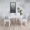 Обеденная группа Азалия (Азалия 1450, СМ 10)