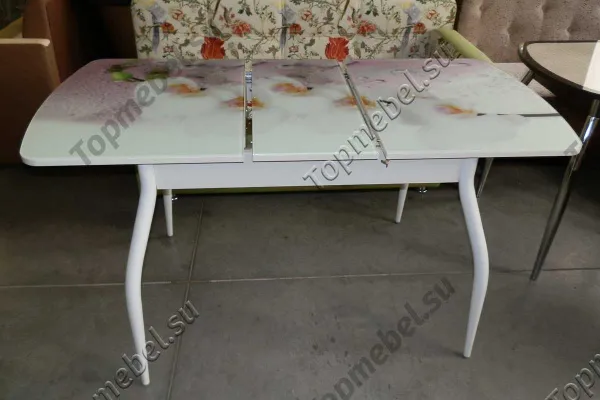 Стол Диамант М50 со стеклянной вставкой и фотопечатью - Столы