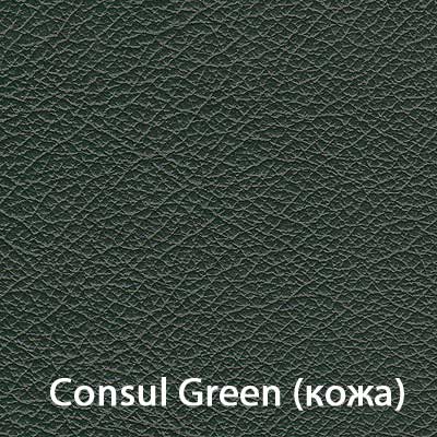 Consul-Green.jpg
