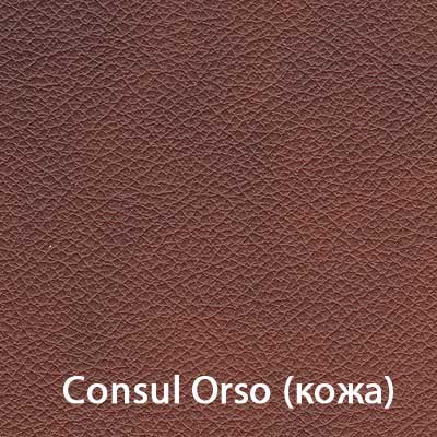 Consul-Orso.jpg