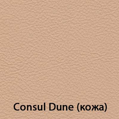 Consul-Dune.jpg