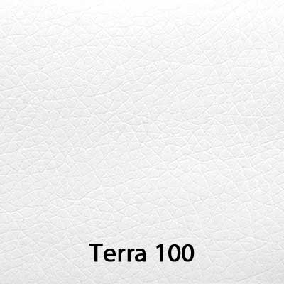 Terra-100.jpg