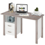 Стол с тумбой СТД-130 с тумбой - Компьютерные столы