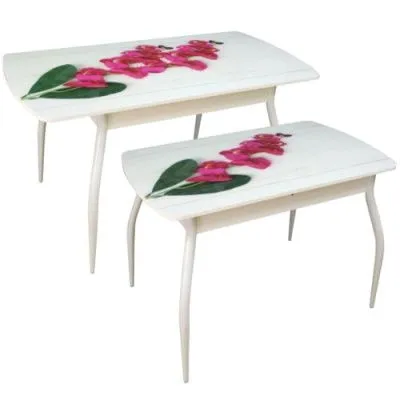 Стол Диамант М50 со стеклянной вставкой и фотопечатью - Столы