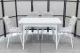 Обеденная группа (стол Ост белый и 4 стула Тетра) - Обеденные группыССС